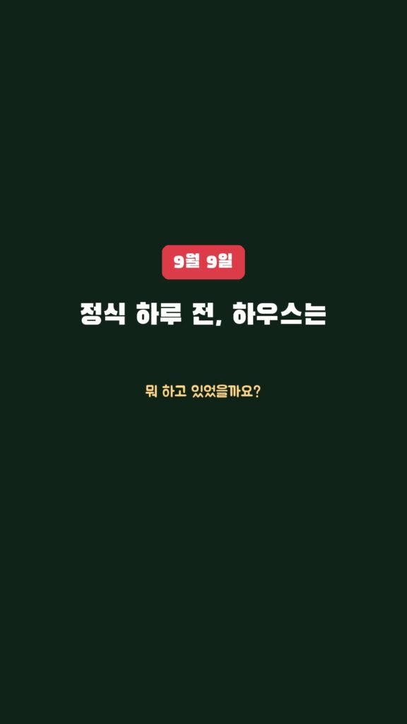 정식 하루 전, 우리 하우스는 뭐 하고 있었을까요?