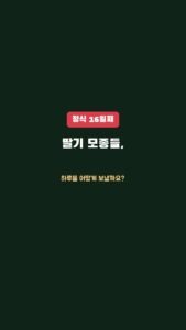 정식 16일째, 딸기 모종은 하루를 어떻게 보낼까요?