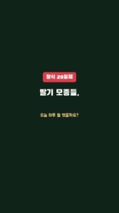 정식 20일째, 딸기 모종은 오늘 하루 뭘 했을까요?