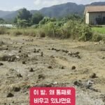 이 빈 땅에 새 하우스가 올라가요!