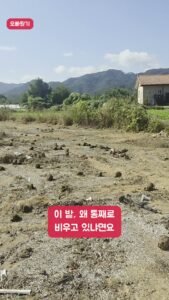 이 빈 땅에 새 하우스가 올라가요!