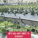 빈 베드가 보름 만에 이렇게 됐어요!