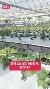 빈 베드가 보름 만에 이렇게 됐어요!