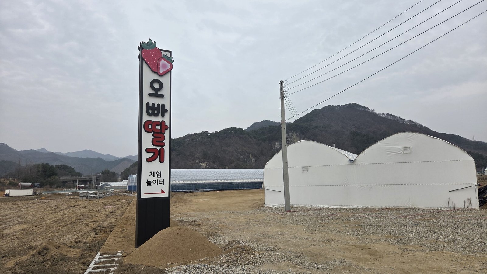 길가에 서 있는 오빠딸기 간판