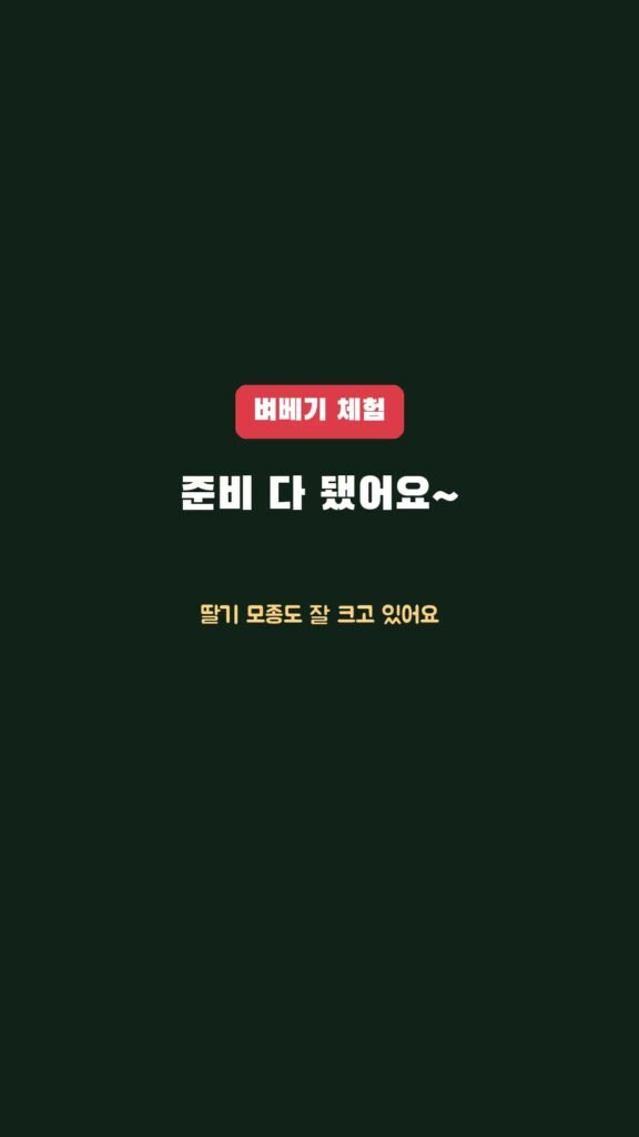 벼베기 체험, 준비가 다 됐을까요?