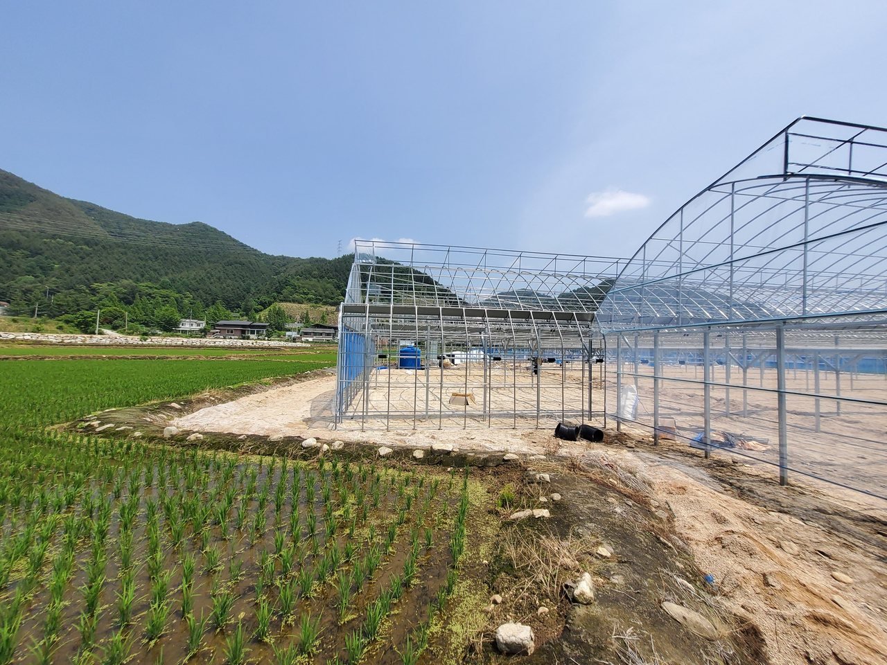 2022년 오빠딸기 — 지붕 뼈대가 올라간 새 하우스